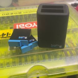 Go Pro Duel Charger 