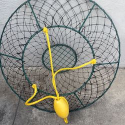 Lobster hoop