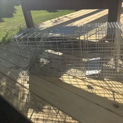 Animal trap Cage