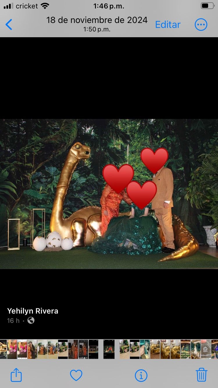 Dinosaur Chair Party 