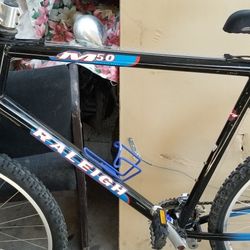 M50 Relieh Mountain Bike