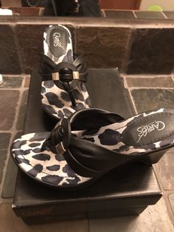 Carlos Santana Mojito Wedges