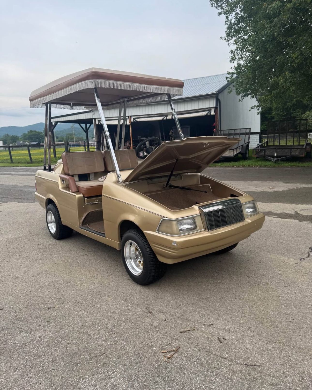 1990 EZGO Custom Golf Cart 48v Lithium 