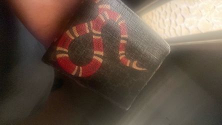 Gucci Snake Wallet Men’s