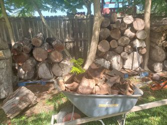 Mesquite Oak and Pecan for sale