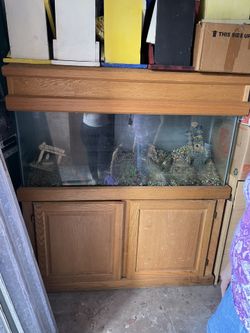 Fish Tank
