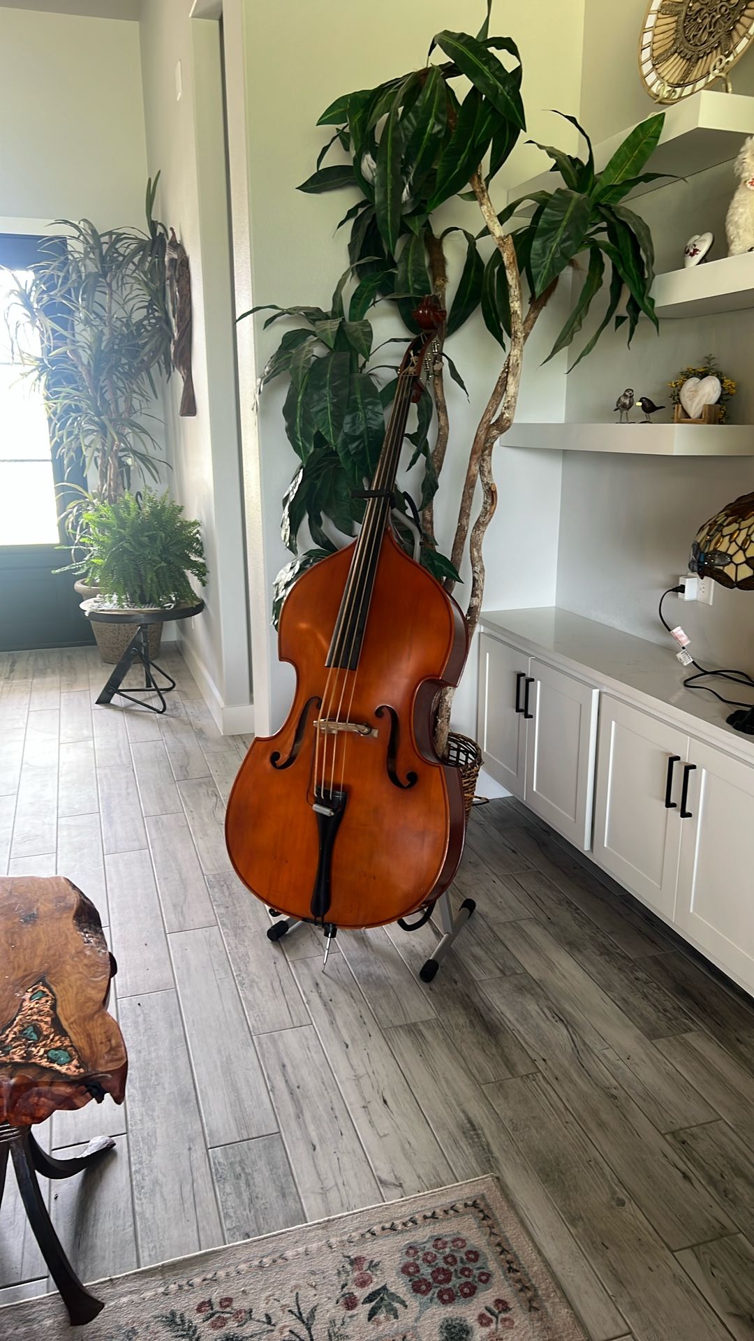 Upright Bass