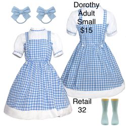 Dorothy Wizard of OZ Wicked Adult Small Halloween Themed Party