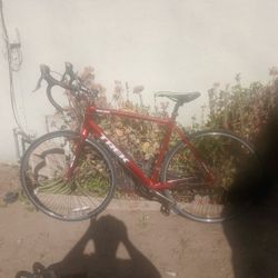 Trek Alpha One Series 1.1