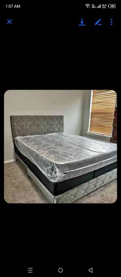 New Queen Bed Wht Matres For $399