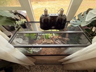 Ball python enclosure
