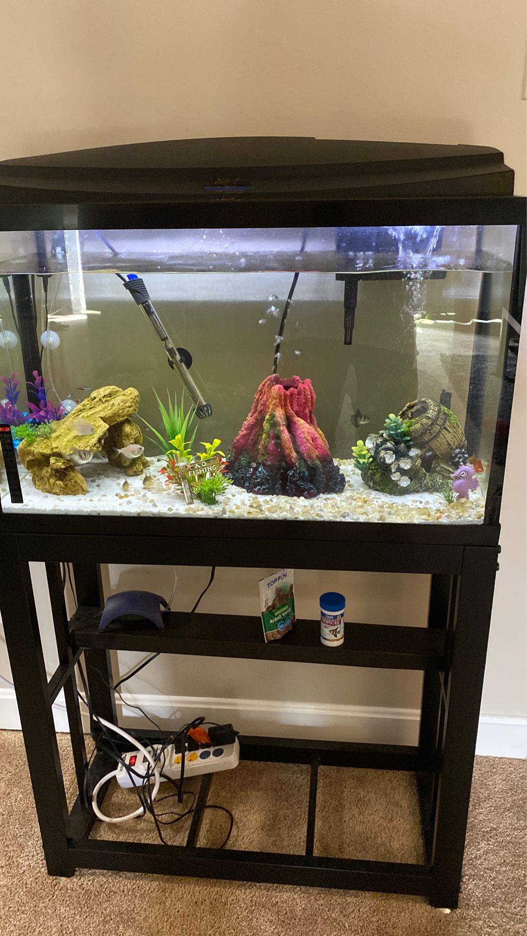 29 gallon Fish tank set up without stand