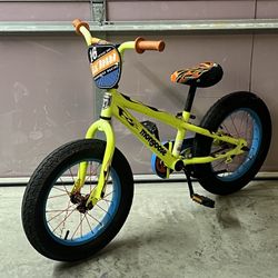 16 Inch Kids Bike With Fat Tires 