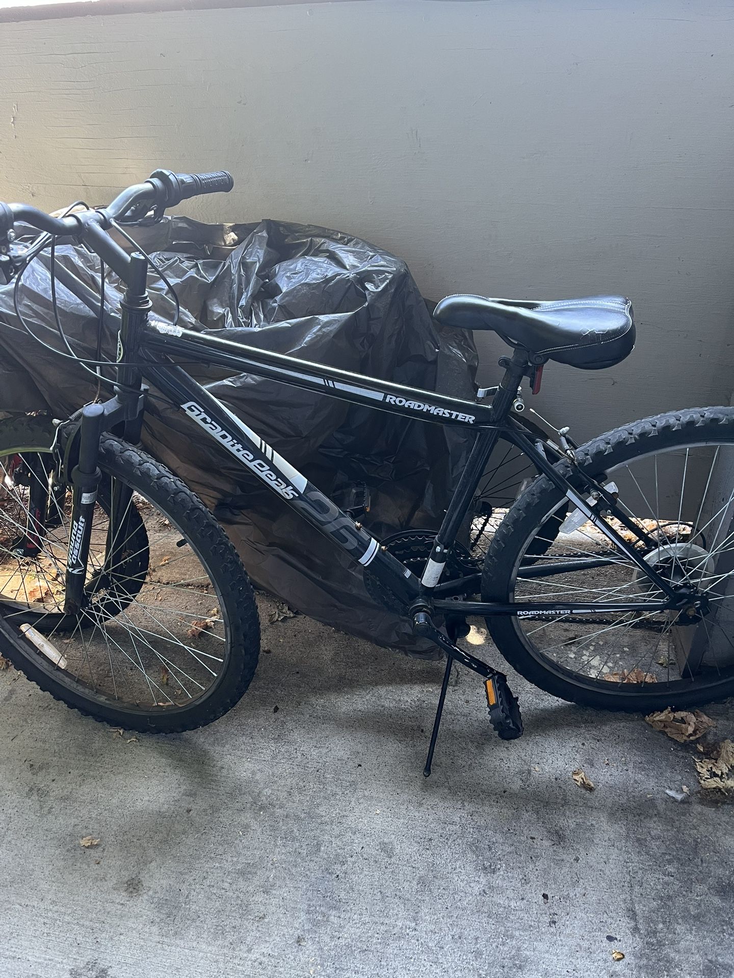 Roadmaster Bike
