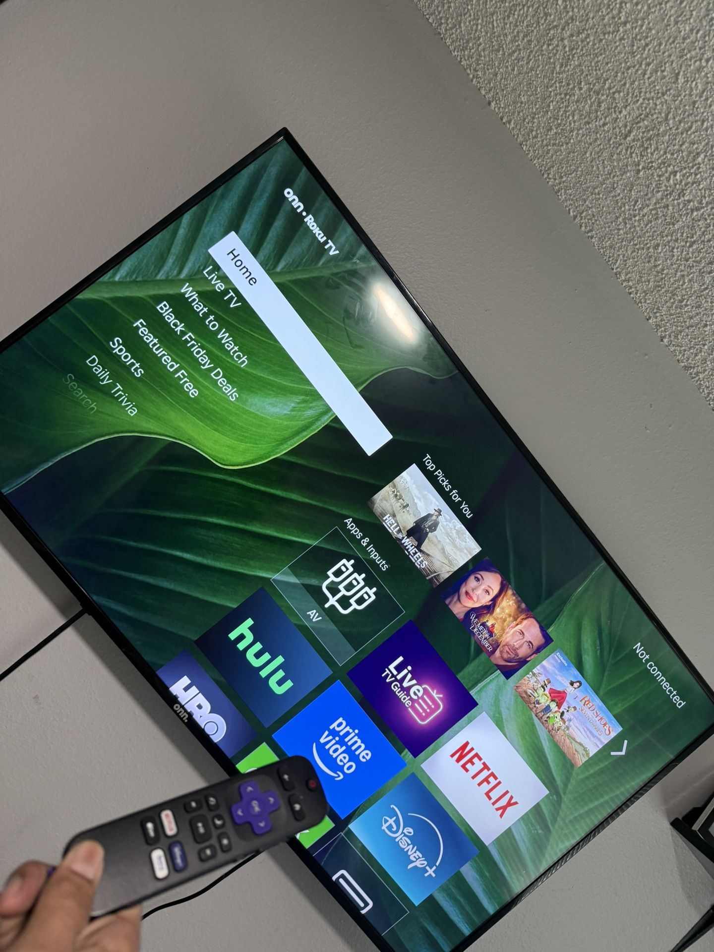 50inch Roku Tv 