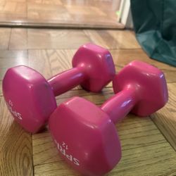 Pink Arm Weights 