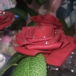 Eternal ROSE 🌹$2 EACH 💕 MOTHERS DAY 🎁