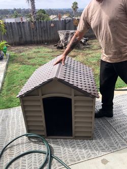 DOG HOUSE