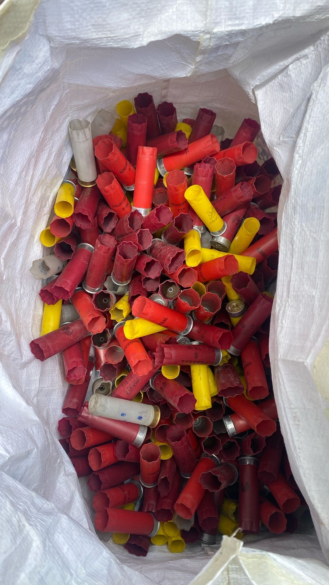 Empty Shot gun shells for Crafts