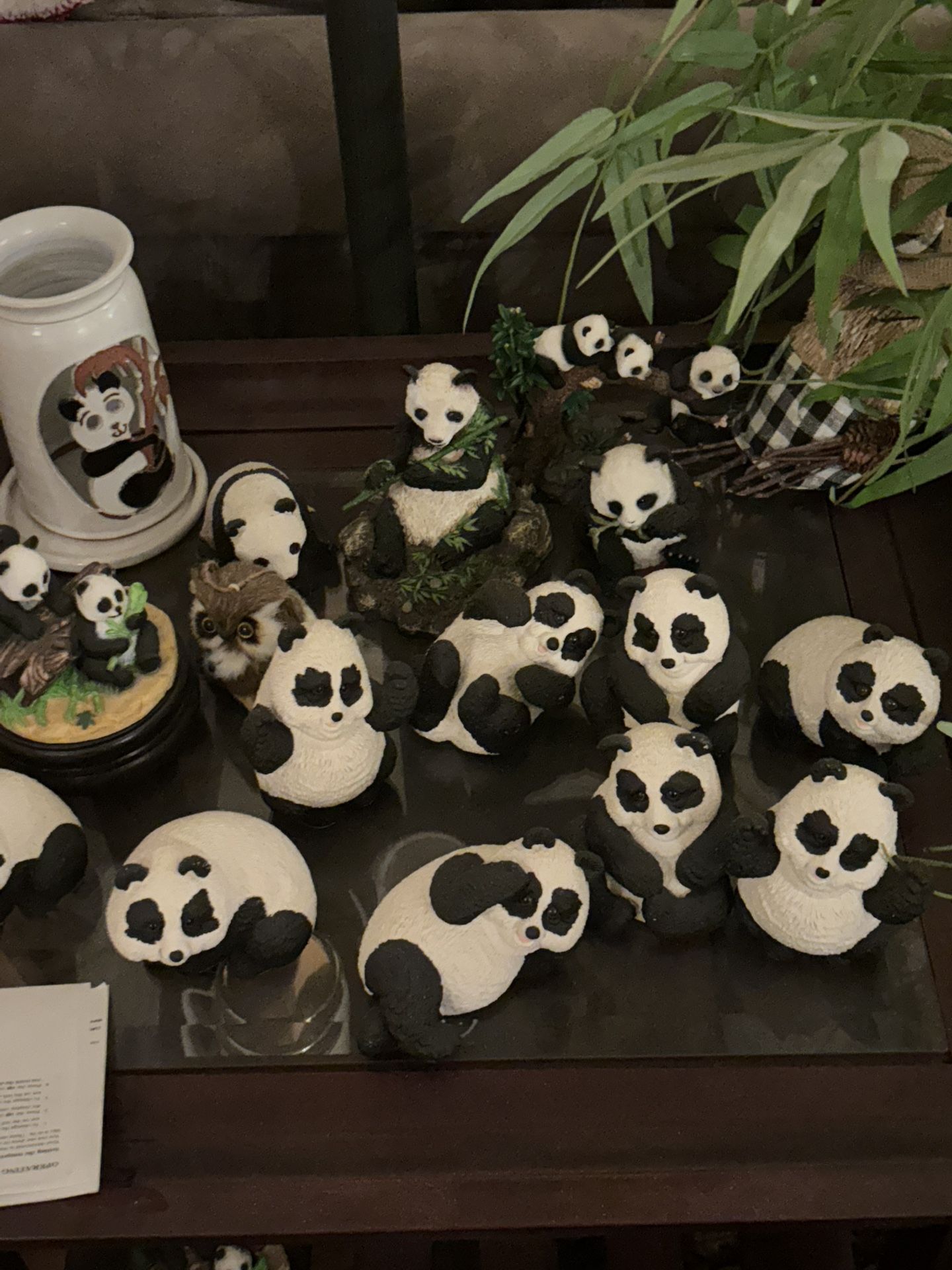 Panda Owls