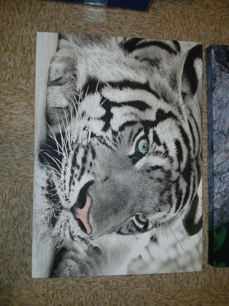 Tiger Decor