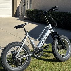 Electric Bike