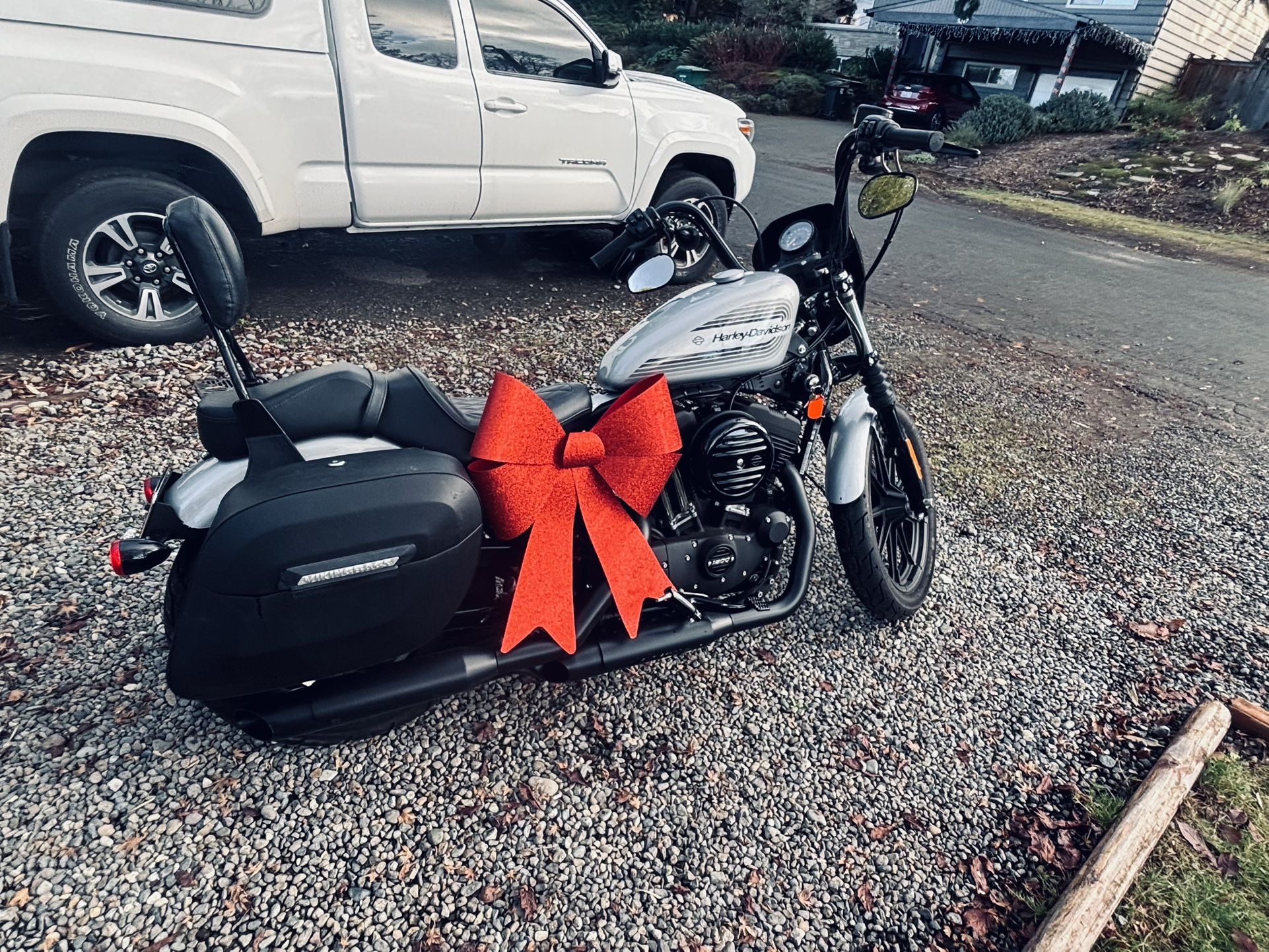 2020 Harley Davidson Iron 1200