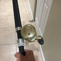 Trinidad 16 On Melton Rod