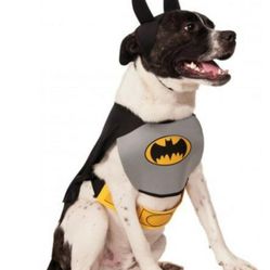 Dog Halloween Costume 🎃 Size S/M