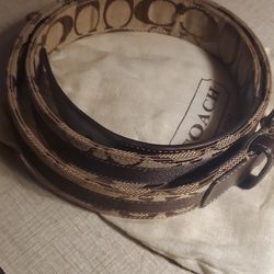 Man's authentic coach built