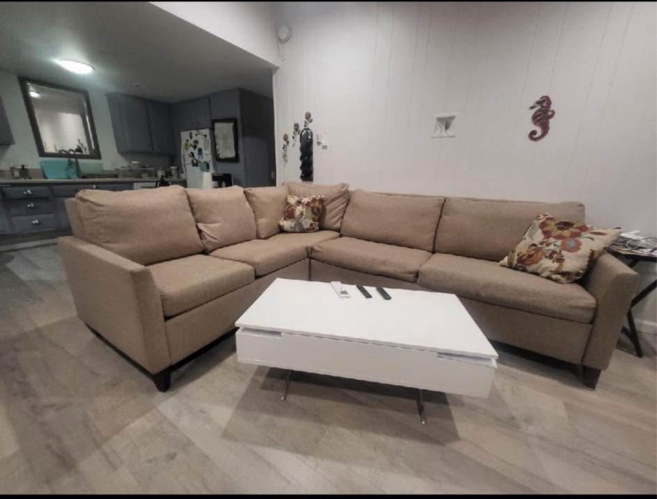 Sectional Pull Out Couch