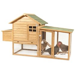 Chicken Coop 
