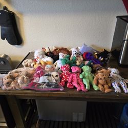 Beanie Babie Lot