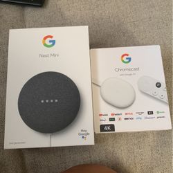 Google Nest Mini & Google Chromecast 