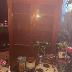 Curio Cabinet 