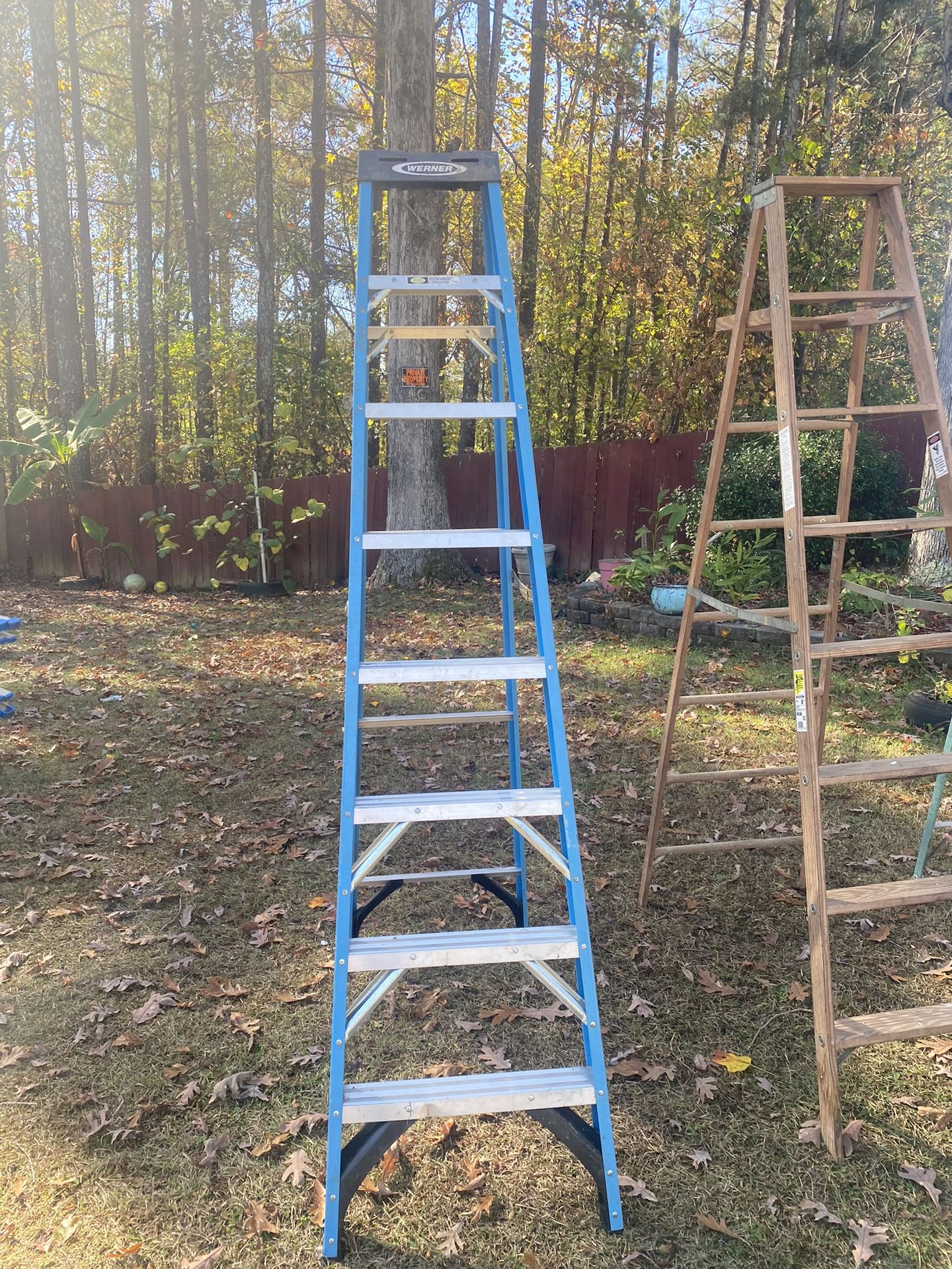 Werner Ladder