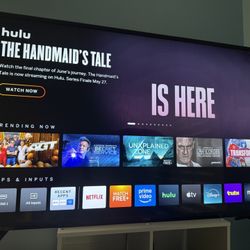 55inch Vizo Tv 