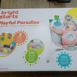 Bright Starts Vibrating Baby Bouncer