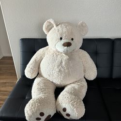 Teddy Bear 