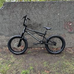 We The People Swampmaster Full Suspension Bmx