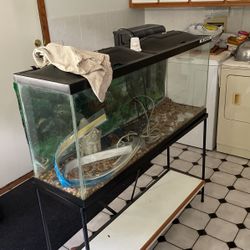 80ga Aquarium 