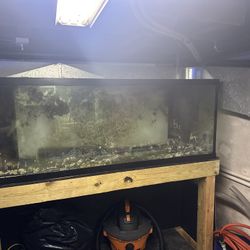 150 Gal Reef Ready Salt Water Tank 