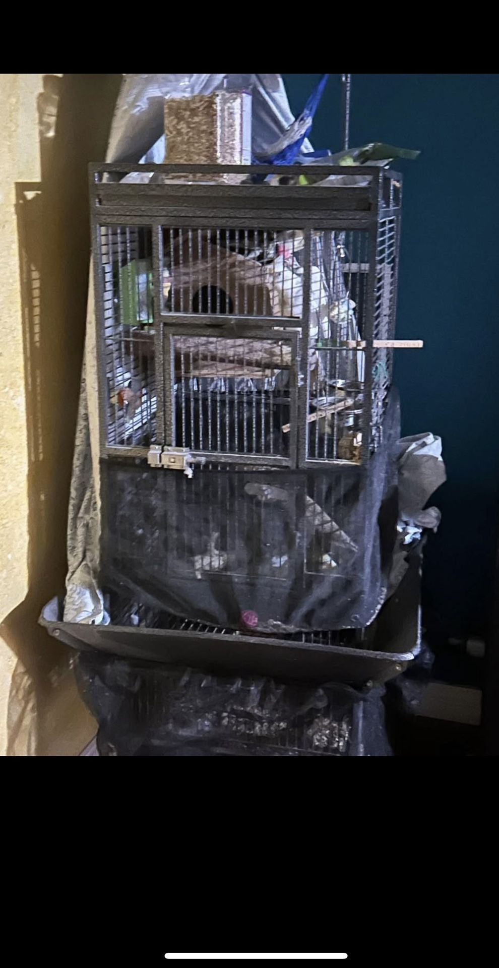 Cockatiel Cage/ Jaula cacatuas