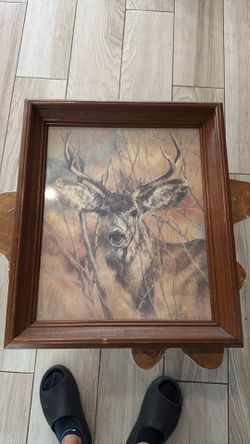 Framed Deer Wildlife Wall Art – Rustic Cabin or Lodge Décor