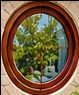 High-Quality Windows – Multiple Models Available