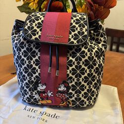 Disney x Kate Spade Limited Edition