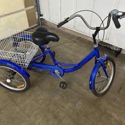 Trike For Sale