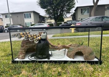Reptile Terrarium
