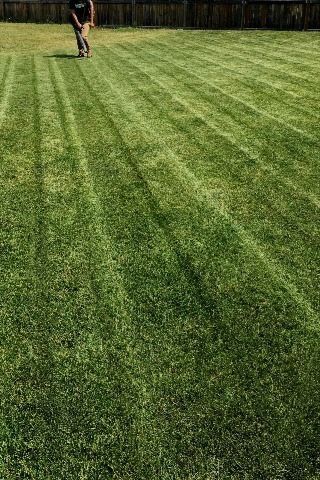 Cheap Gardner