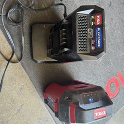 FLEX FORCE TORO CHARGER AND BATTERY BOTH FOR 60